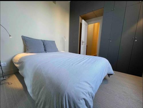 une chambre avec un grand lit avec des oreillers bleus dans l'établissement Appartement hyper centre historique, à Bordeaux