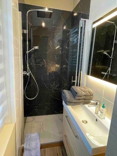 une salle de bain avec douche et lavabo dans l'établissement Appartement hyper centre historique, à Bordeaux