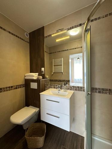 a bathroom with a sink and a toilet and a mirror at APARTAMENTY LAVENDERIA z widokiem na Górę Parkową, blisko centrum in Kudowa-Zdrój