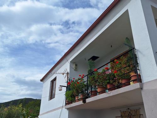 Ein Balkon oder eine Terrasse in der Unterkunft Taku Villa Wonderful view of Lake Ohrid