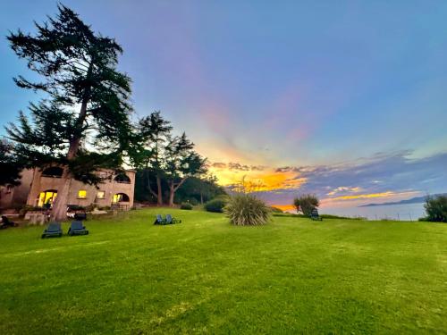 a grassy field with benches and a tree and a sunset at Résidence Padovani Marina in Calcatoggio
