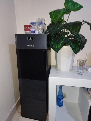 a black refrigerator next to a plant next to a table at Mutuku and Kata Homes in Embakasi