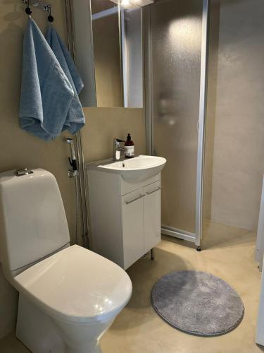 a bathroom with a toilet and a sink and a shower at Arctic Jaakko Suite in Rovaniemi