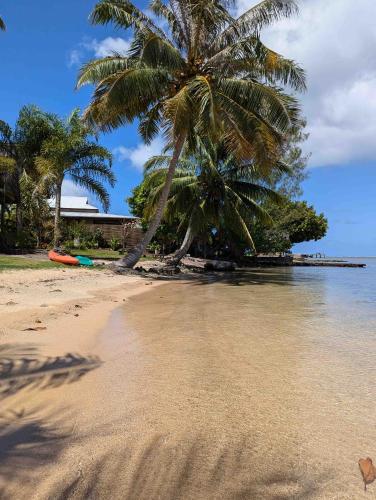 a beach with two palm trees and the ocean at RAIATEA - The BEACH HOUSE - plage sur le lagon ! in Tevaitoa