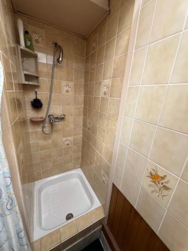 une salle de bain avec douche et lavabo dans l'établissement Maison 3 chambres, à Roubaix