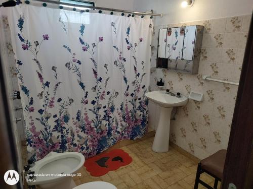 a bathroom with a shower curtain with a toilet and a sink at El depto de mirta 964 Esquiu in San Bernardo