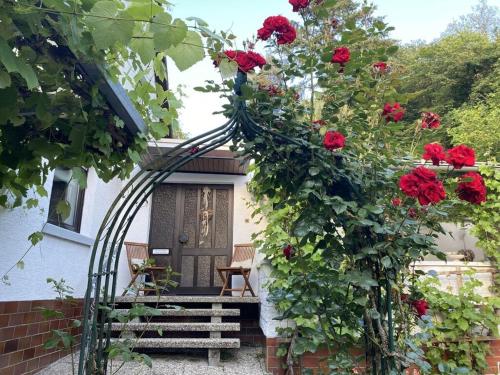 Zahrada ubytování FränZ Comfortable holiday residence