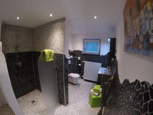 a bathroom with a shower and a toilet in it at Schlossblick Braunfels in Braunfels