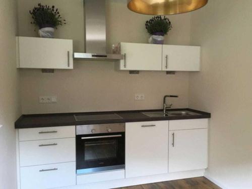 Dapur atau dapur kecil di SchlafGut Comfortable holiday residence