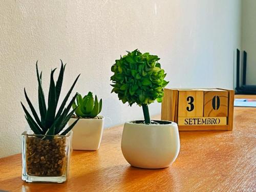 three potted plants sitting on a wooden table at LOFT aconchegante no Centro de Macaé, Wifi, Ar condicionado e Cozinha completa in Macaé