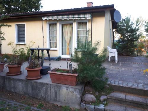 a small house with potted plants in front of it at 12 Rheinsberg OT Großzerlang am See in Adamswalde