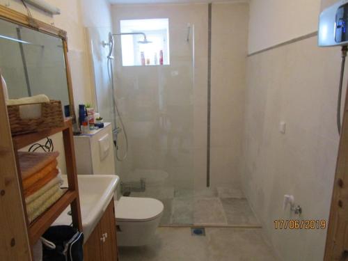 a bathroom with a shower and a toilet and a sink at Haus Stjepo-Ferienwohnung 2 in Orasac