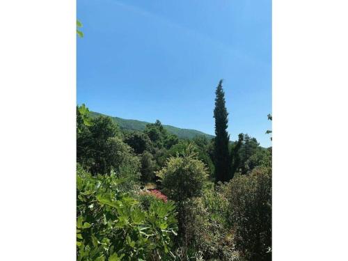 a view of a forest with a tree in the distance at La Patouille Comfortable holiday residence in Aujac