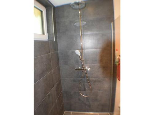 a shower with a shower head in a bathroom at Köhler - Hütte Comfortable holiday residence in Brilon