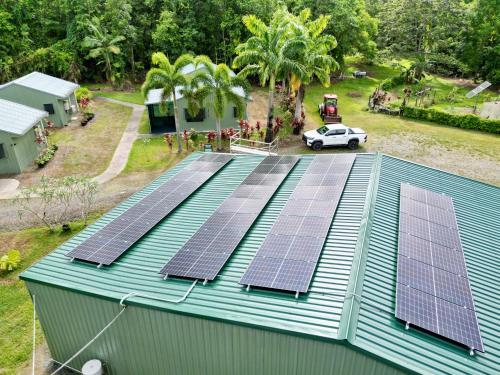 Κήπος έξω από το Daintree Peaks ECO Stays