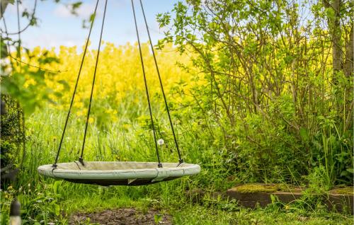 a tire swing hanging in a field of grass at Stunning Home In Vestervig With Wifi in Vestervig