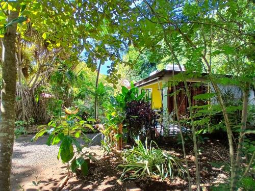 a small yellow house in the middle of a forest at Résidence Les Manguiers in Pointe-Noire