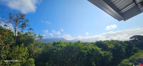 a view of trees and mountains in the distance at Villa Rosie in Sainte-Rose
