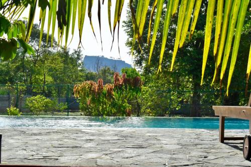 a pool with a palm tree and a bench at Green Hut Nature Resort in Sigiriya