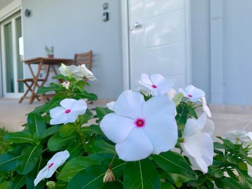 a bush of white flowers in front of a door at Mint Luxury Residence in Spáta