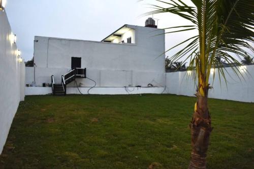 a white house with a palm tree in front of it at Las lomas in Ursulo Galván