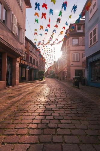 an empty street with a bunch of flags and buildings at Route des vins - 4 pers - pied des Vosges in Barr