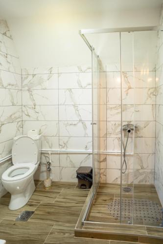a bathroom with a toilet and a shower at Ville Uskoci in Žabljak