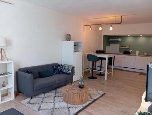 Kuchyň nebo kuchyňský kout v ubytování appartement hôtes entier Millau Compeyre
