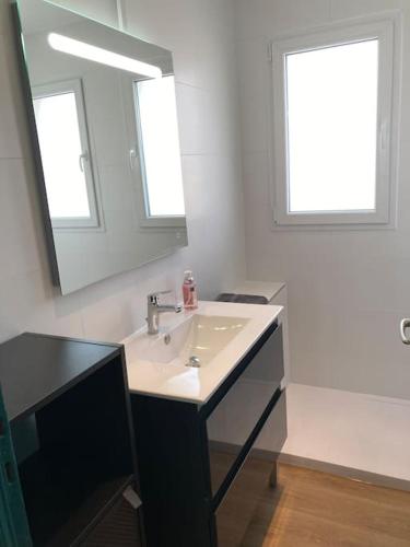 une salle de bain avec un lavabo et un miroir dans l'établissement T3 lumineux et climatisé à 300m des plages, à La Seyne-sur-Mer