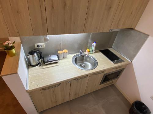 a small kitchen with a sink and a counter at Kopaonik Župa 505 in Kopaonik