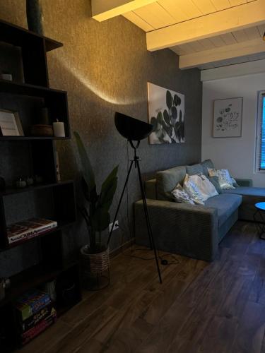 a living room with a couch and a lamp at Öregvíz Vendégház in Szentendre