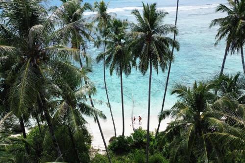 a view of a beach with palm trees and the ocean at Ira Bungalows Pulau Banyak in Alaban