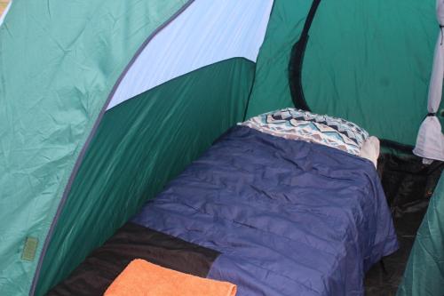a close up of a tent with a bed in it at Isikhoma-Khoma in Hilton