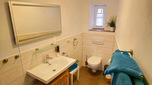 a bathroom with a sink and a toilet and a mirror at Fischerhaus Plau am See in Plau am See