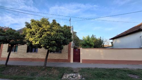 a house with a tree in front of a building at Apartmani Komoč in Novi Bečej