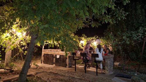 a group of people sitting at a picnic table at night at Apartmani Komoč in Novi Bečej