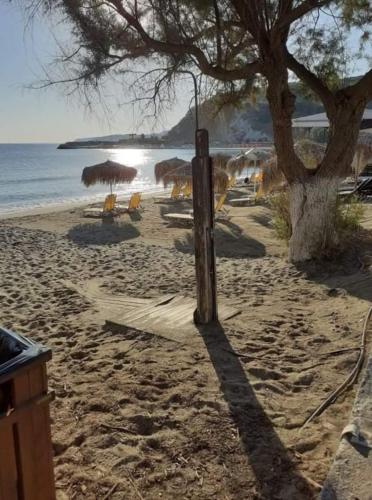 a beach with umbrellas and chairs and a tree at Erofili Apartment in Kalyves