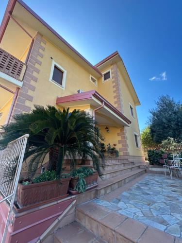 a house with stairs and palm trees in front of it at B&B Villa Maria in Catanzaro