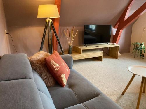 a living room with a couch and a television at Elegant appartement in Pakhuis Friesland centrum in Leeuwarden