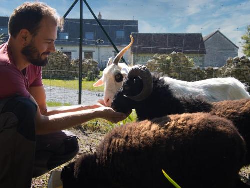 a man is petting a goat in a zoo at "Domaine le Pineau" Maison de charme avec piscine et jacuzzi privatif in Bléré