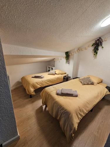 une chambre avec deux lits dans une pièce dans l'établissement Appartement proche des Halles, à Narbonne
