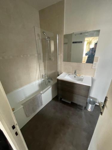 une salle de bain avec un lavabo, une douche et un miroir dans l'établissement Vincennes Valley, à Vincennes