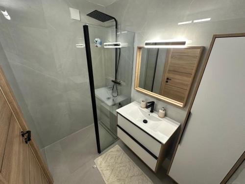 une salle de bain avec un lavabo, une douche et un miroir dans l'établissement Appartement luxe Chateaucreux, à Saint-Étienne