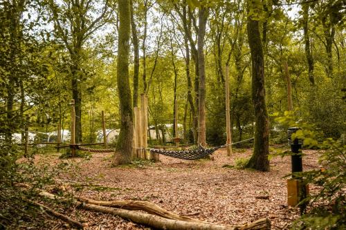 a hammock in the middle of a forest with trees at De Eekhoorn in Zuidwolde