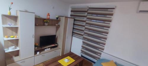 TV a/nebo společenská místnost v ubytování Apartment ANA1