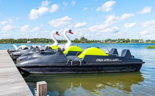 a group of swan boats parked at a dock at De Eekhoorn in Zuidwolde