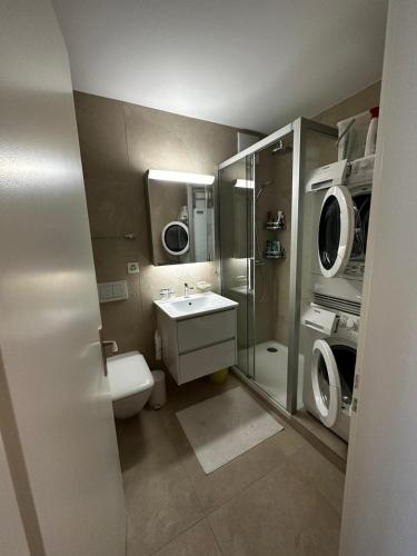 a bathroom with a toilet sink and a washing machine at Ritschis Home in Arosa