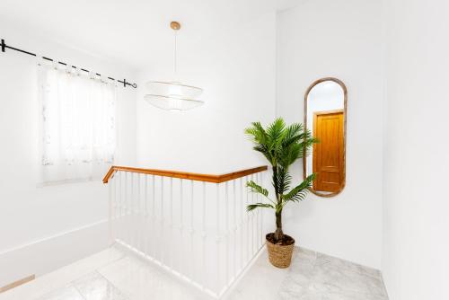 roślina doniczkowa w białym pokoju z lustrem w obiekcie Villa Oliva Nerja - Luxury Redesign & Private Pool w mieście Nerja
