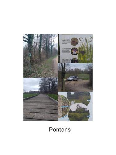 a collage of pictures of a road and a street at Gîte la tourterelle in Rancy