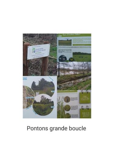 a collage of pictures of plants and signs at Gîte la tourterelle in Rancy